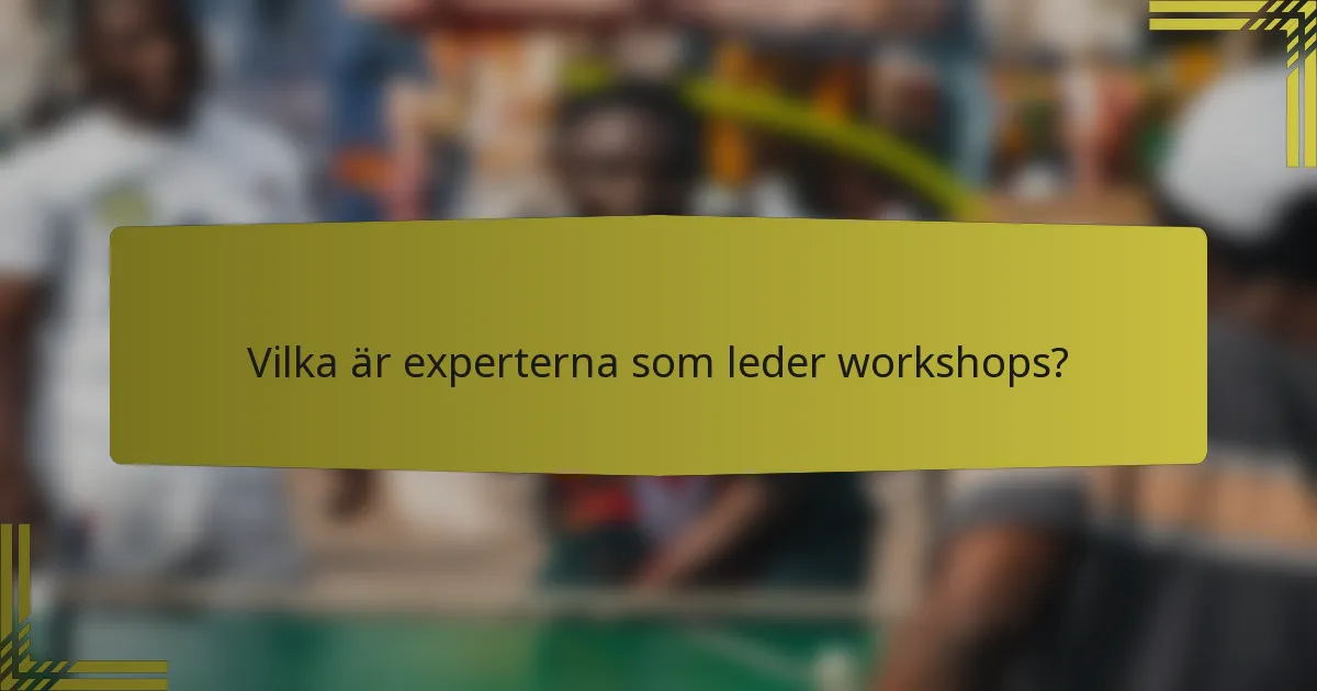 Vilka är experterna som leder workshops?